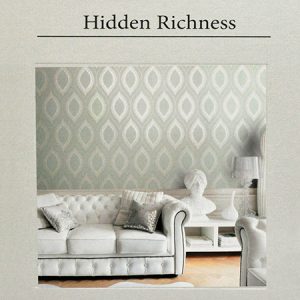 Hidden Richness